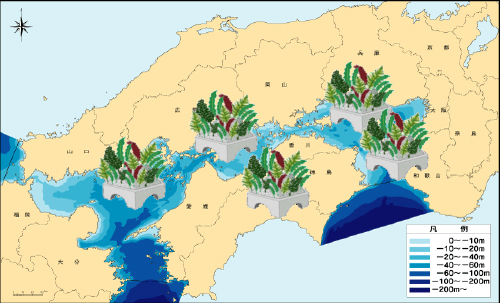 瀬戸内圏における藻場造成礁の造成面積の拡大 画像