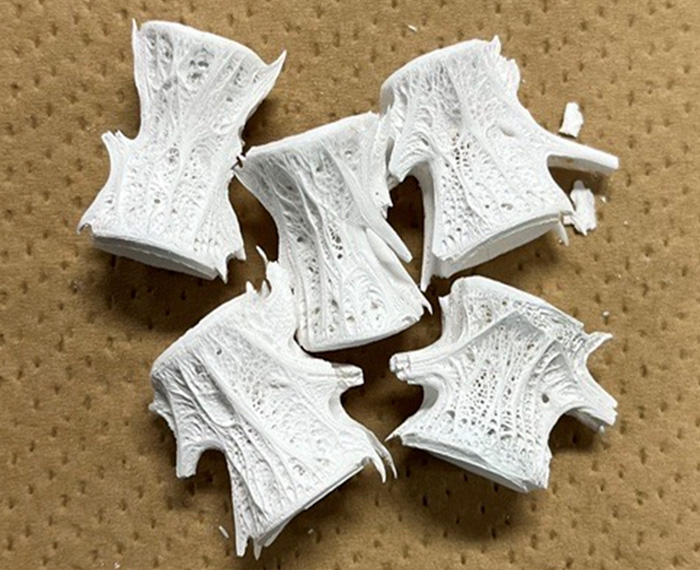 魚類排気由来の素材混和による高機能性低炭素コンクリートの開発 画像